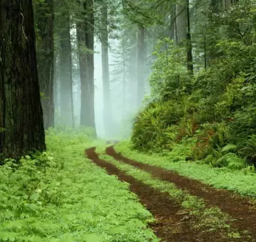 Kültéri reklámfelületek tervezése és gyártása